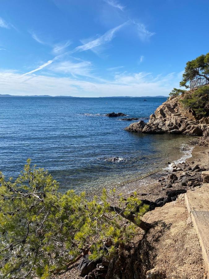Les Locations Cinaureva 